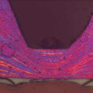 Grains d'aluminium en metallographie