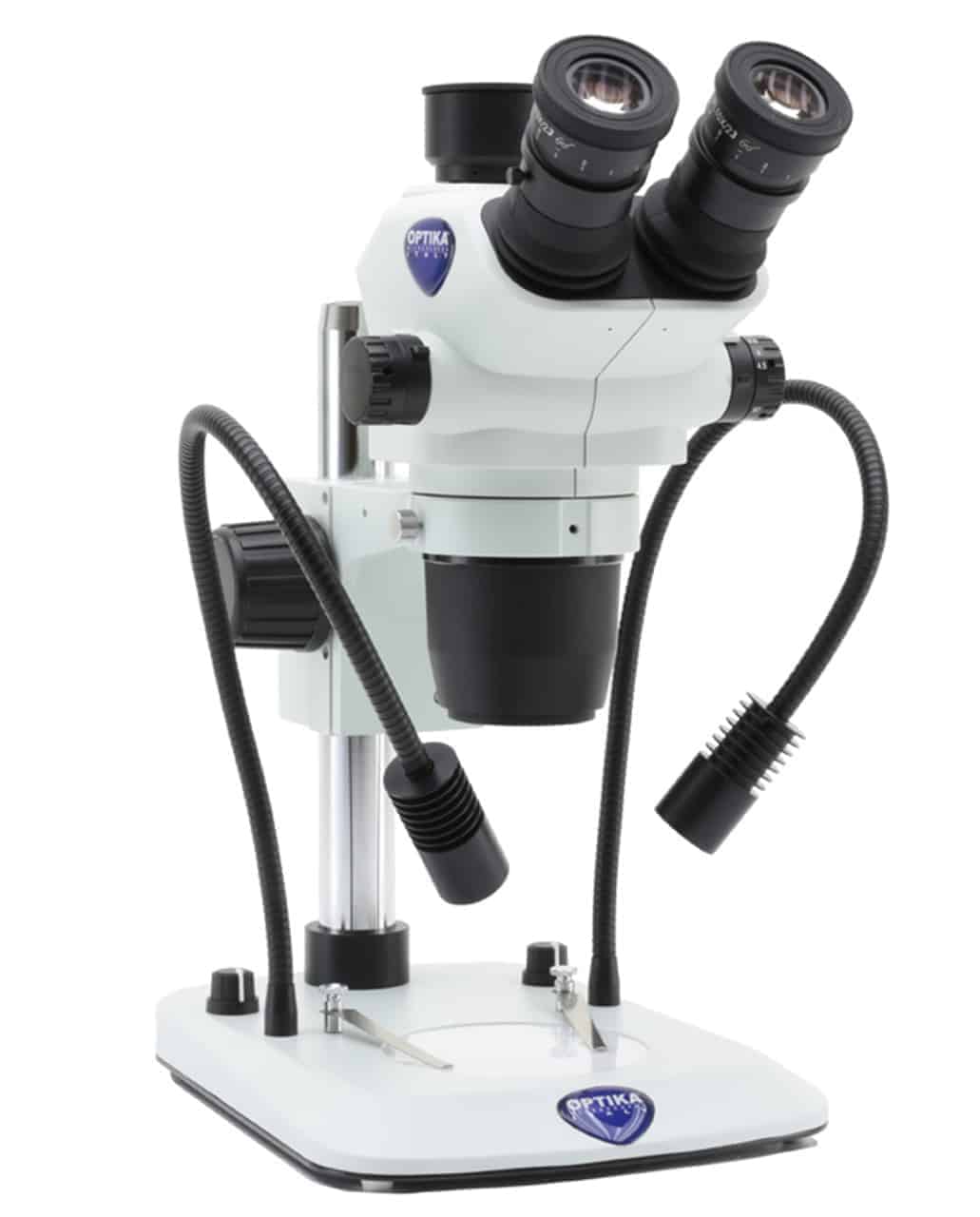 Gamme de stereomicroscope avec système d'éclairage