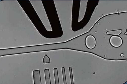 Biomédical - microfluidique