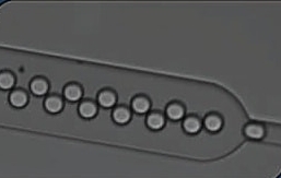 Microfluidique